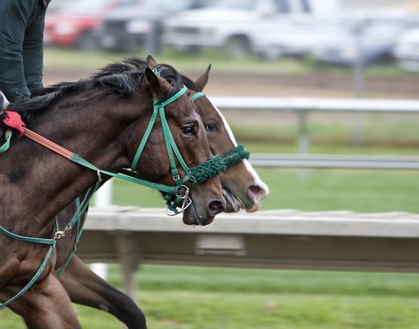 妻と唯一共通の趣味それが競馬